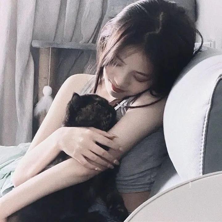 凤鸣怪谈